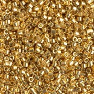 Miyuki delica Perlen 10/0 - Duracoat galvanized gold DBM-1832